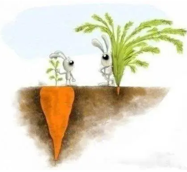 图片[2]-为什么缺乏知识的人更容易表现出自信？-蚁汇阁